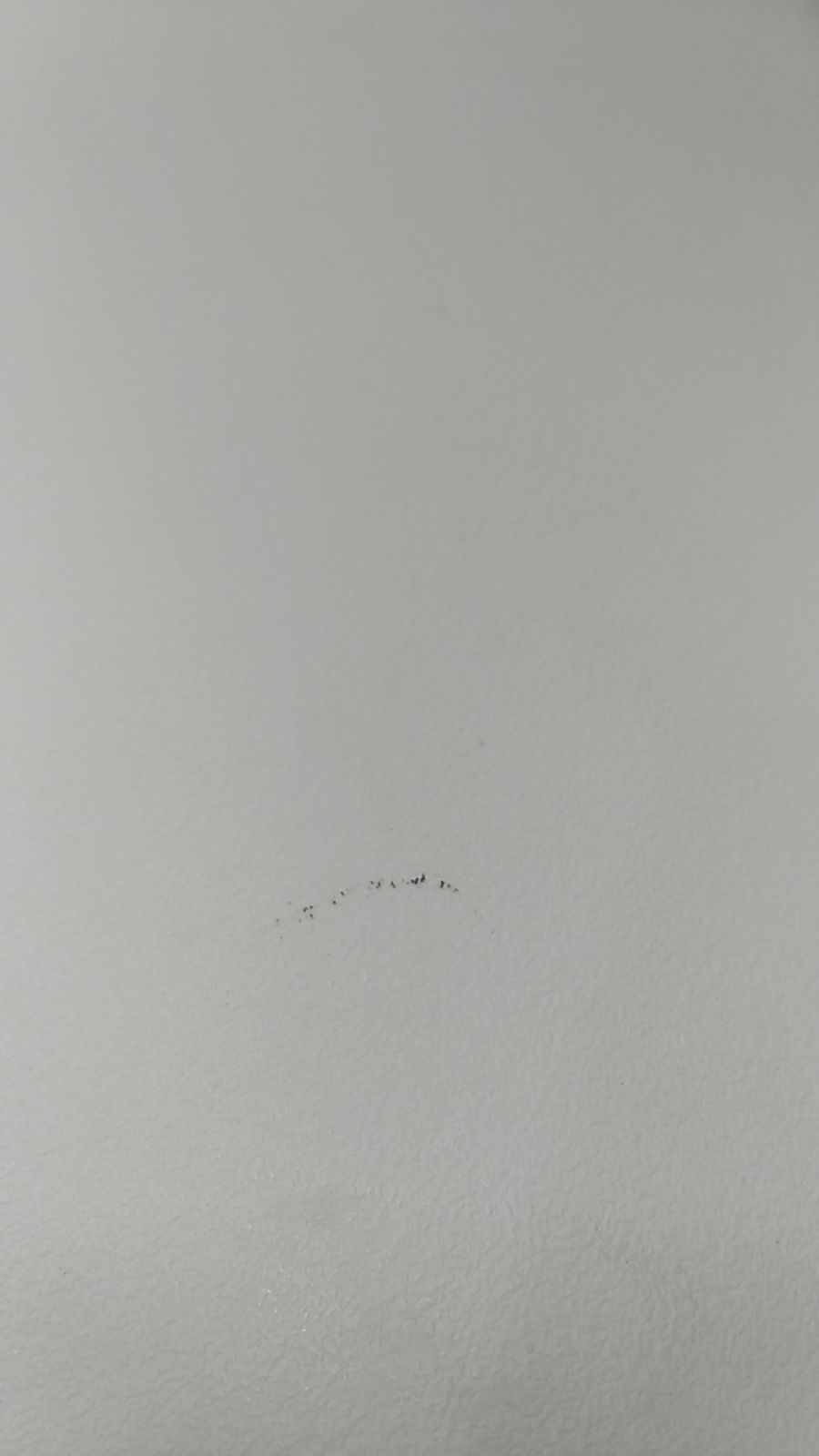 ドリアデ ソフトエッグ フィリップスタルク スタッキングチェア