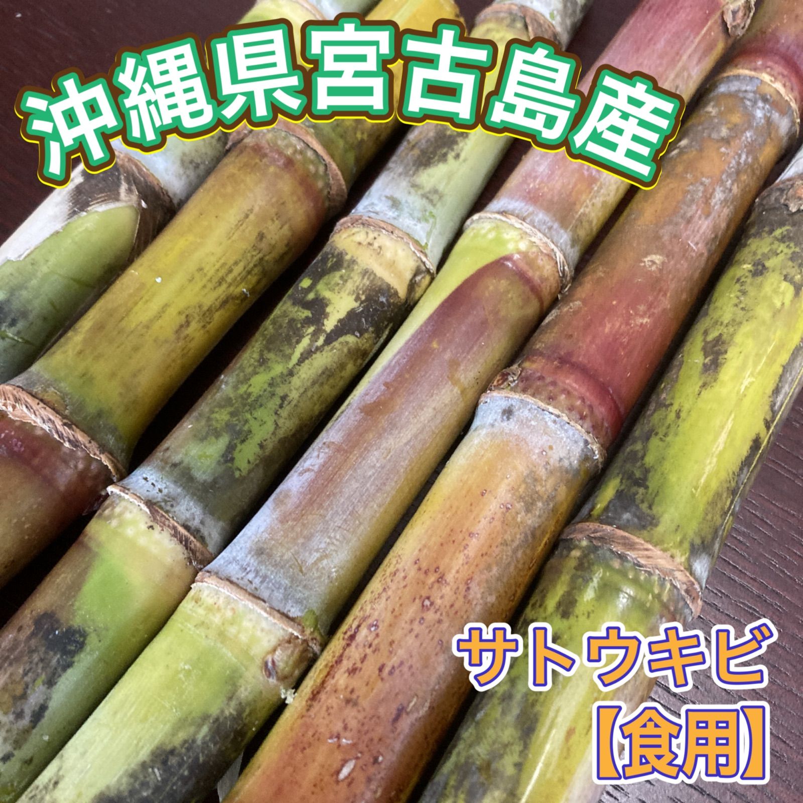 【Truong Ngoc】サトウキビ 沖縄県 宮古島産 Truong Ngoc】サトウキビ 沖縄県 宮古島産 お得な2kg