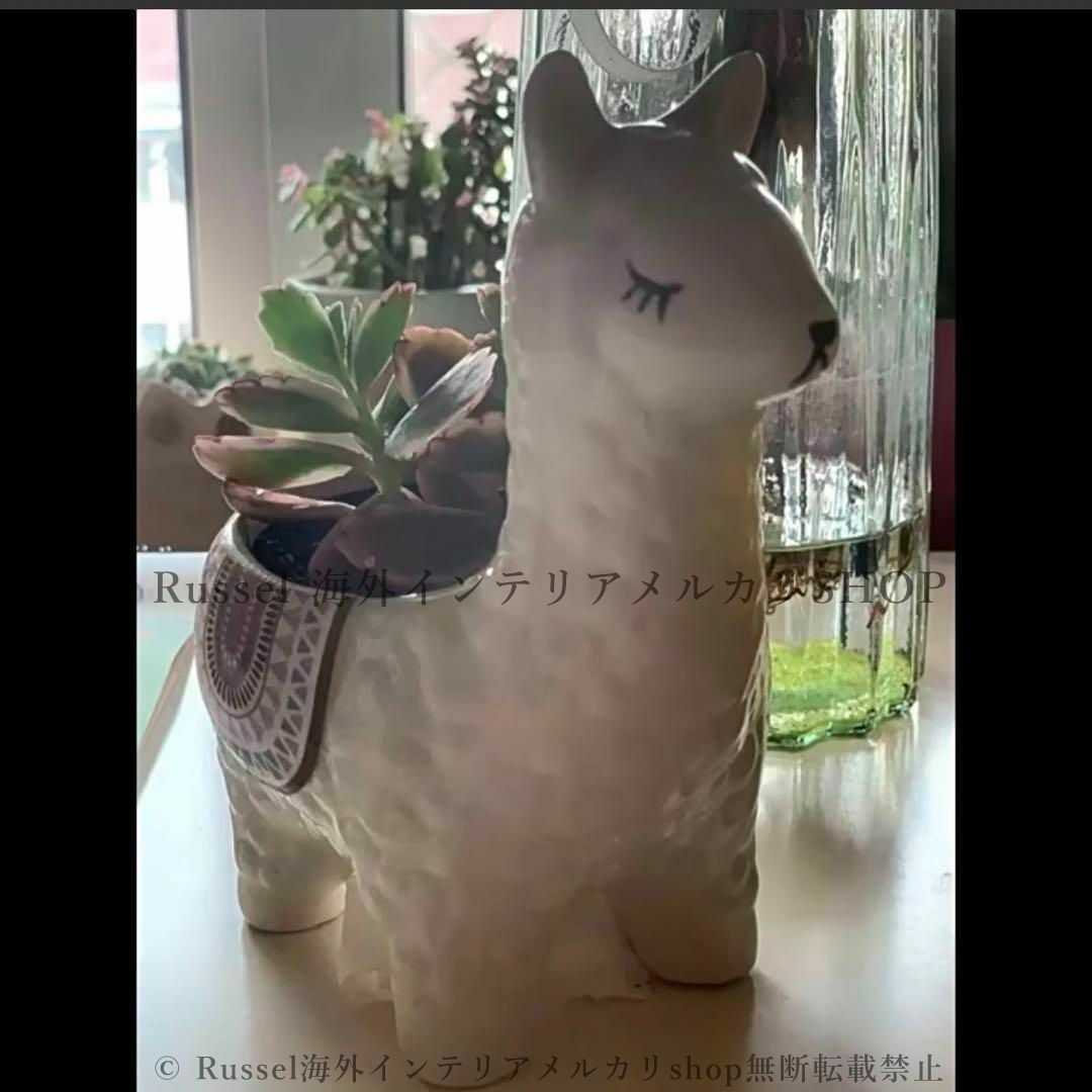 ホワイト フラワーポット型陶器 楽天市場】フラワーポット 植木鉢 おしゃれ 陶器鉢 ミニポット 底穴