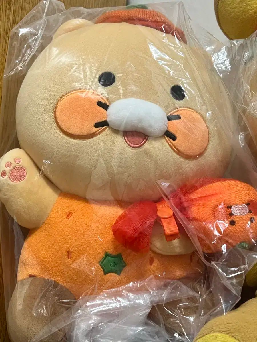 カカオフレンズ 済州道 チュンシク