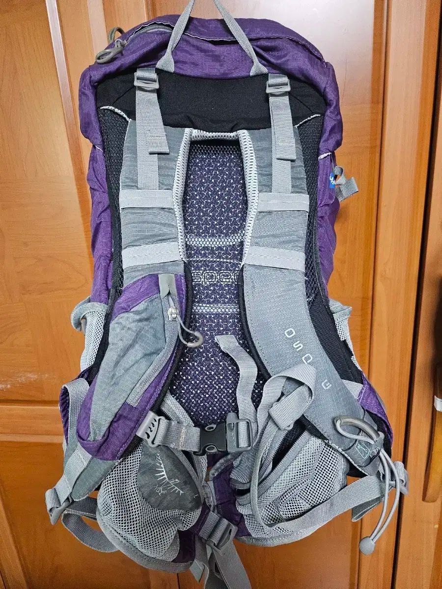 オスプレイ OSPREY リュックサック レディース 26