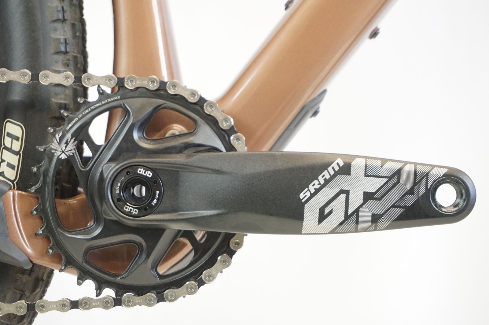 サンタクルーズ