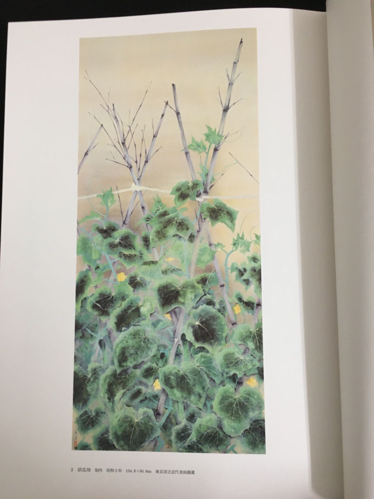 日本画素描大観七 奥村土牛 - メルカリ