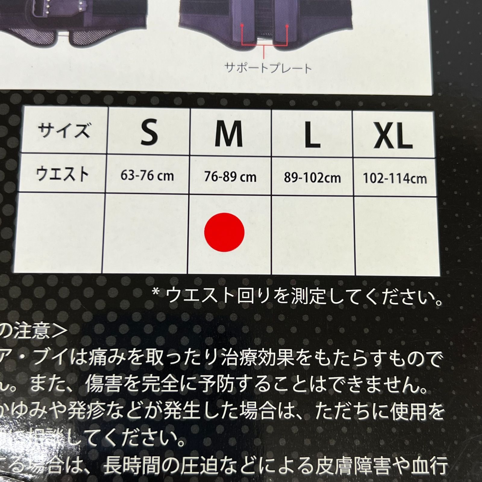 マクソンギアブイ