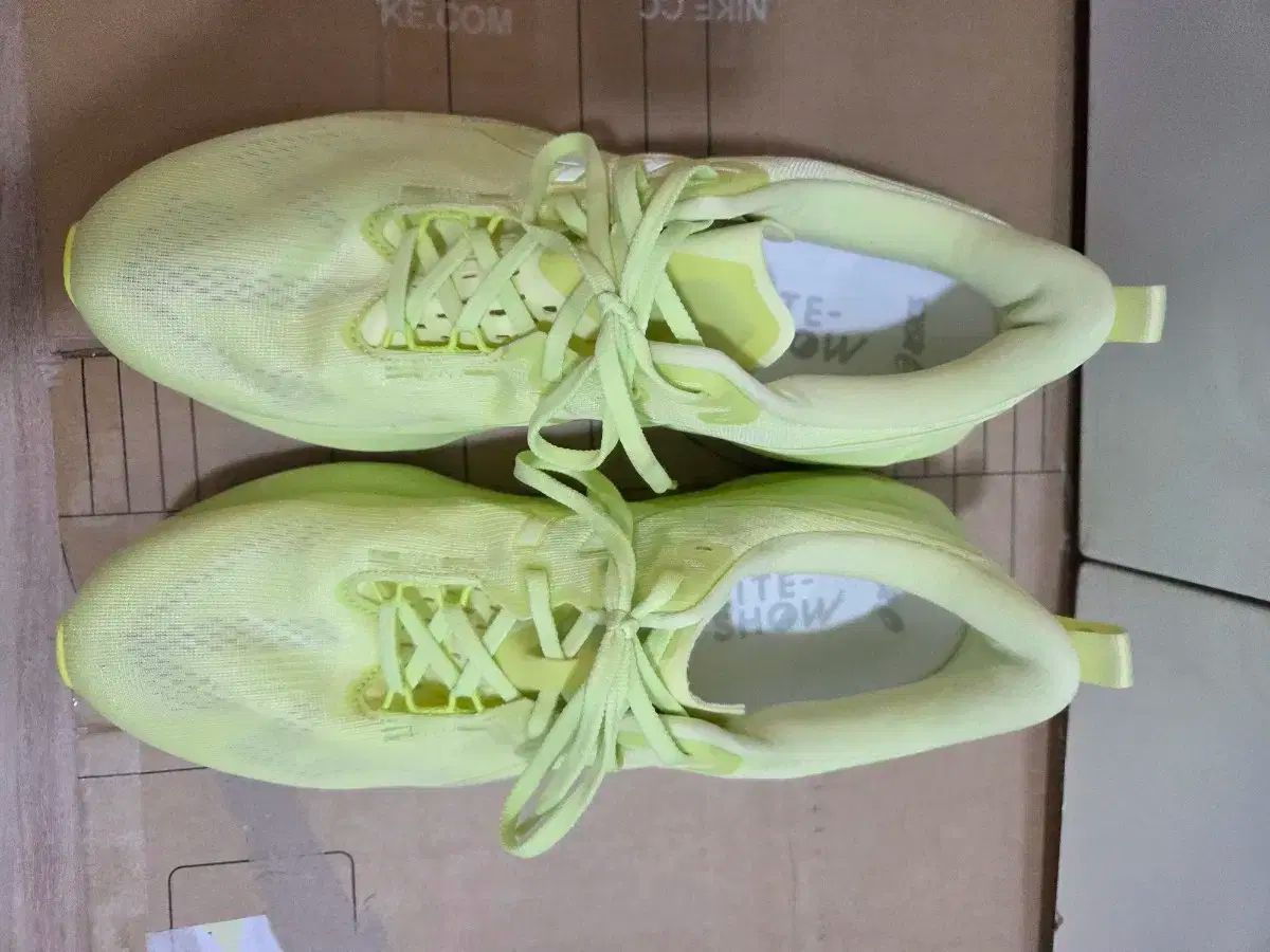 290 Asics アシックス ノバブラスト 5 ライト ショー