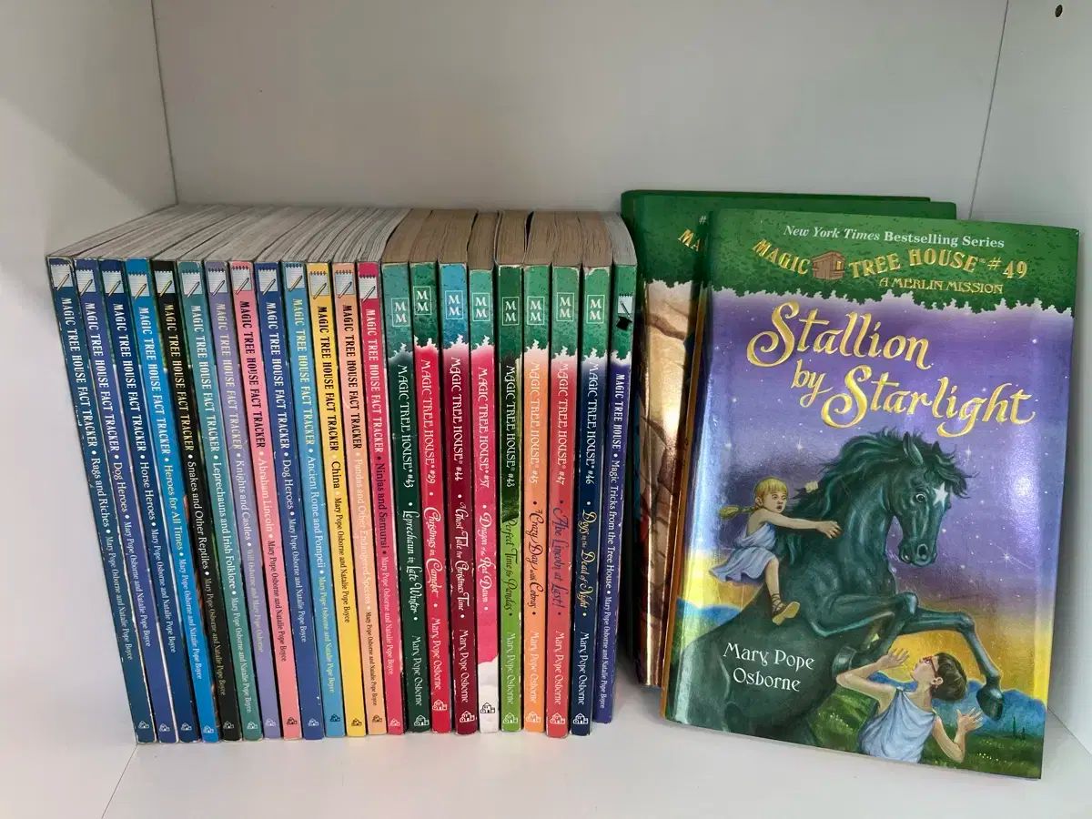 マジック・ツリー・ハウス 英語 願書