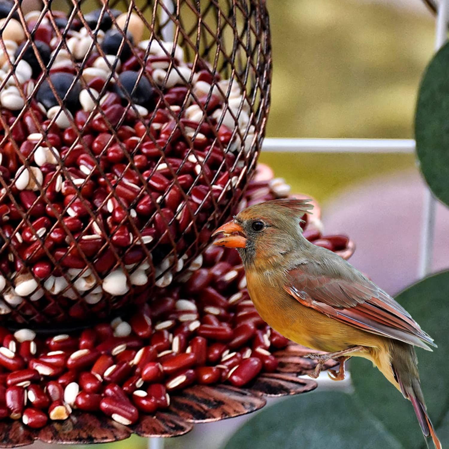 屋外庭の鉄芸フクロウハチドリ餌やり器ハチドリ餌やり器ハチドリ餌やり