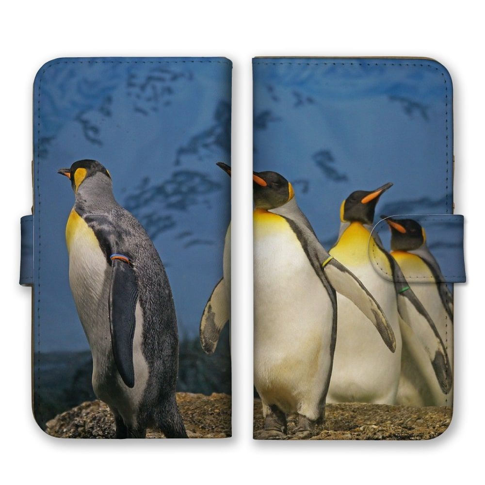 ペンギン様用 ペンギン種類 – ペンギンブック