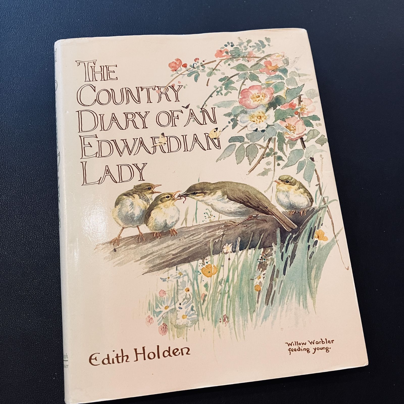 洋書 イギリスアンティーク The Country Diary of an Amazon.com: The Country Diary of an Edwardian Lady