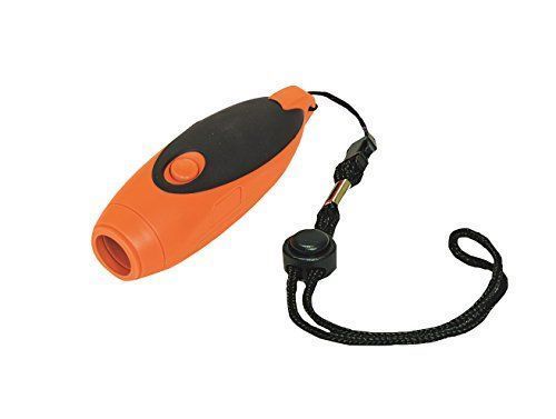 ザ.ハイロウズ エンジェルビートル サイン入り