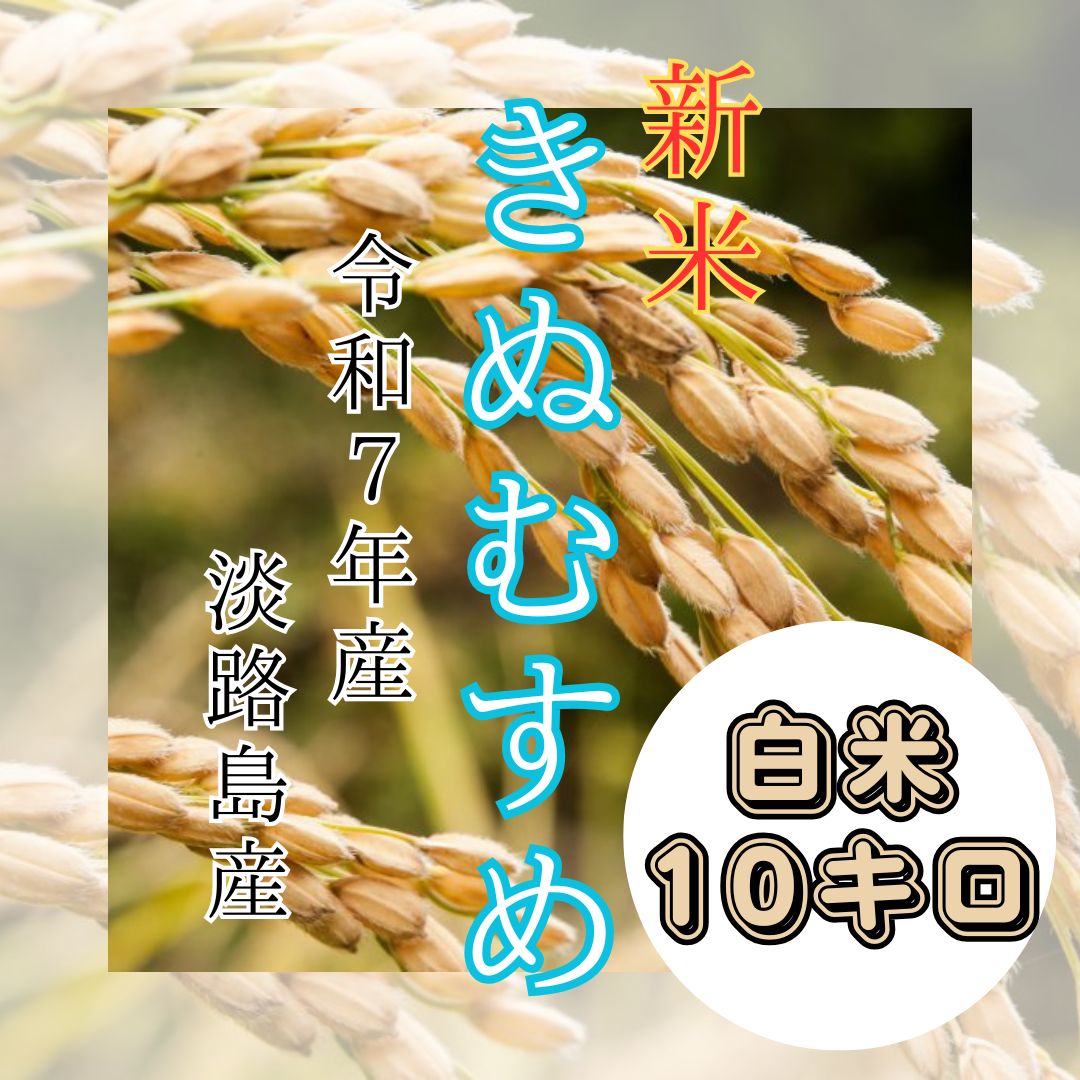 新米 令和7年産 きぬむすめ 白米10キロ 淡路島産