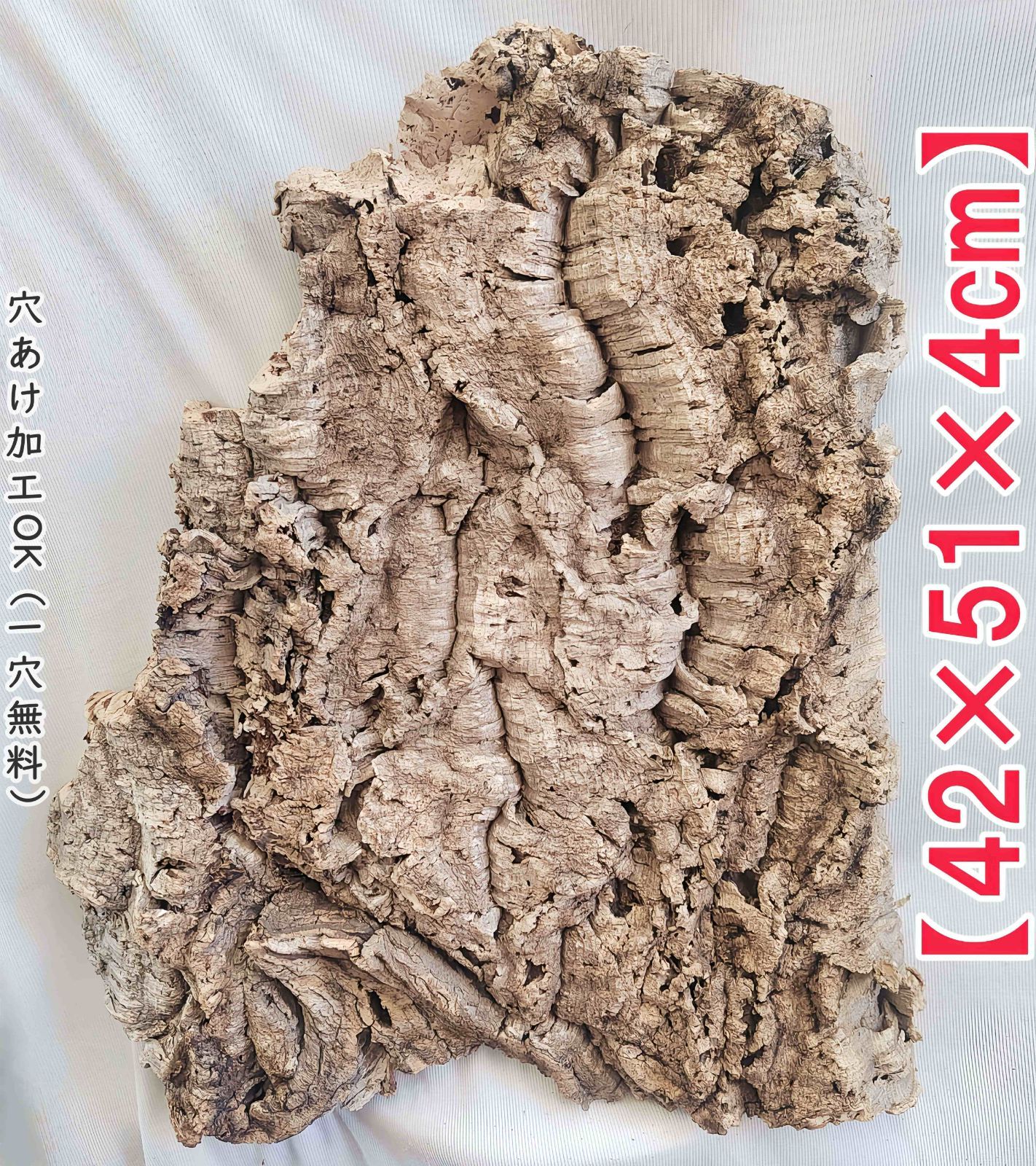 ③コルク 4個セット ポルトガル産コルク ビカクシダ 蘭 ポルトガル産