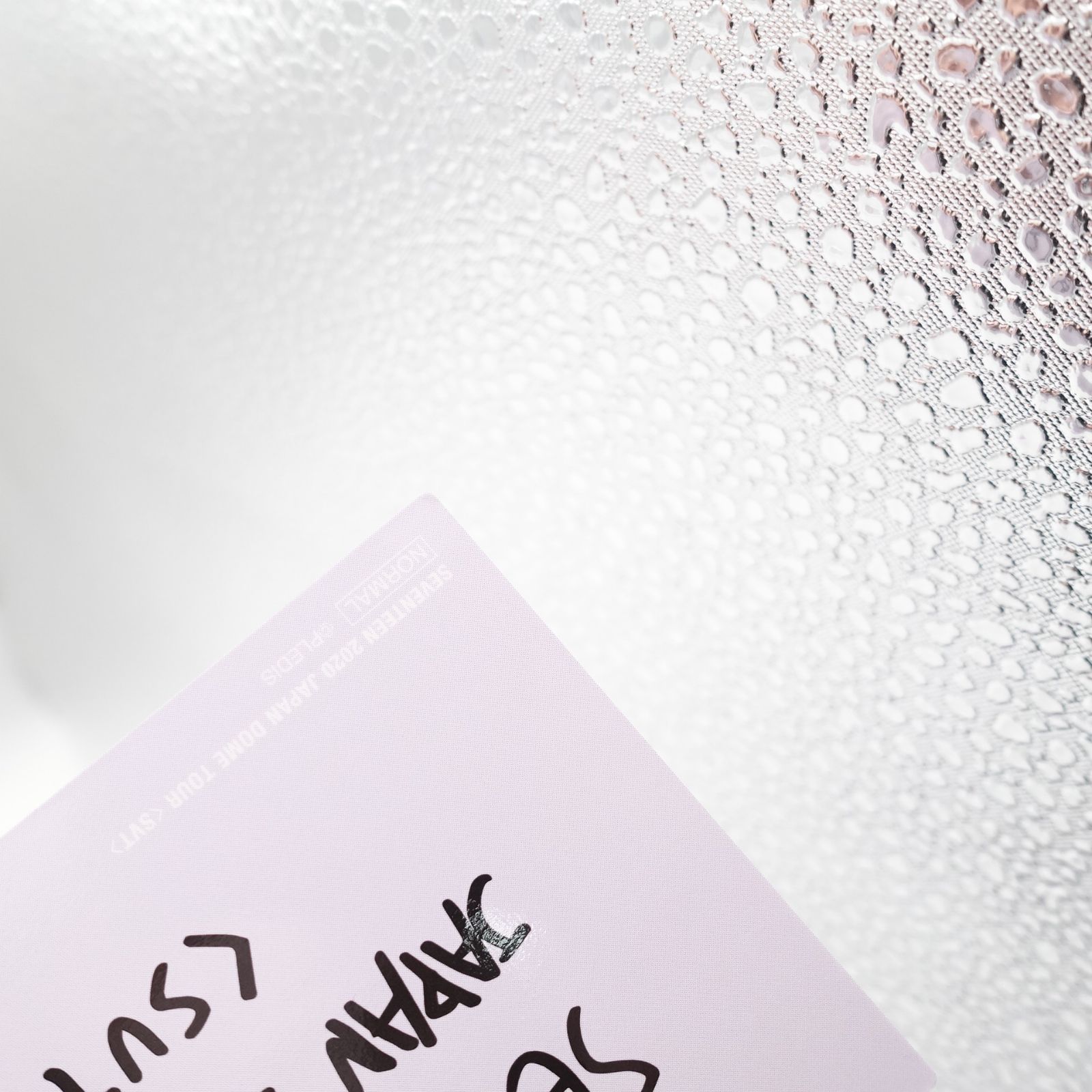 SEVENTEEN ディノ ファンミーティング セミコロン ode to you