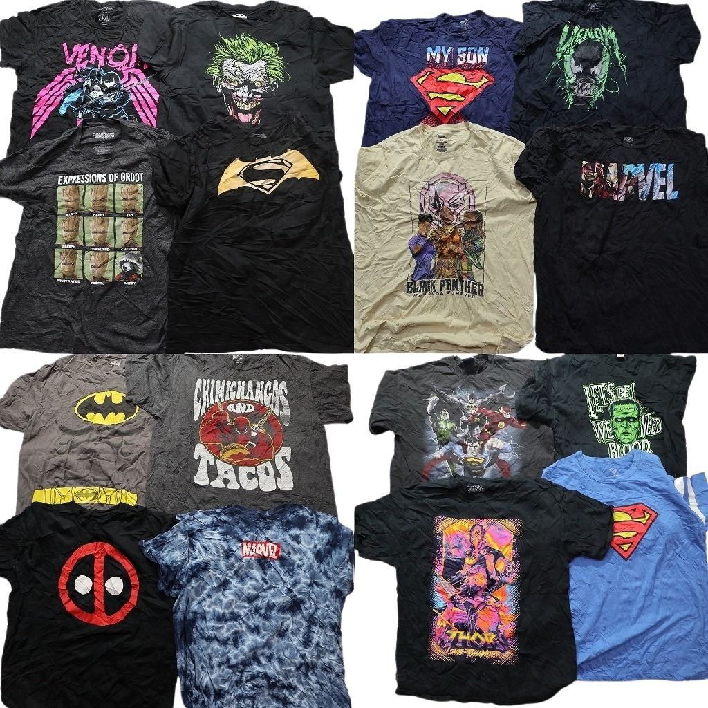 古着卸 まとめ売り マーベル DCコミック 半袖Tシャツ 16枚セット (メンズ XL ) スーパーマン ヴェノム バットマン 中古 古着 MZ0542