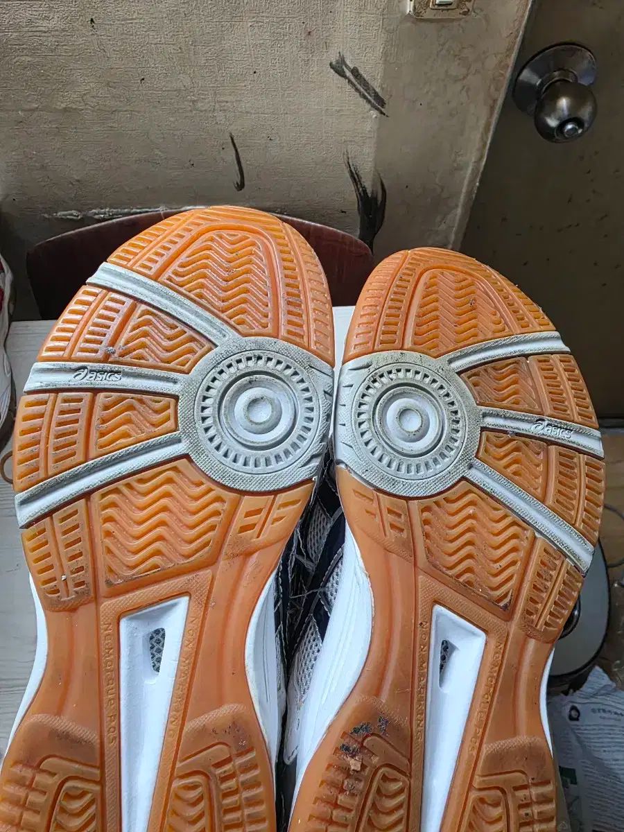 5 バレーボール