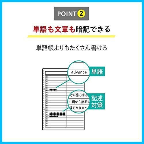 暗記罫 6mm
