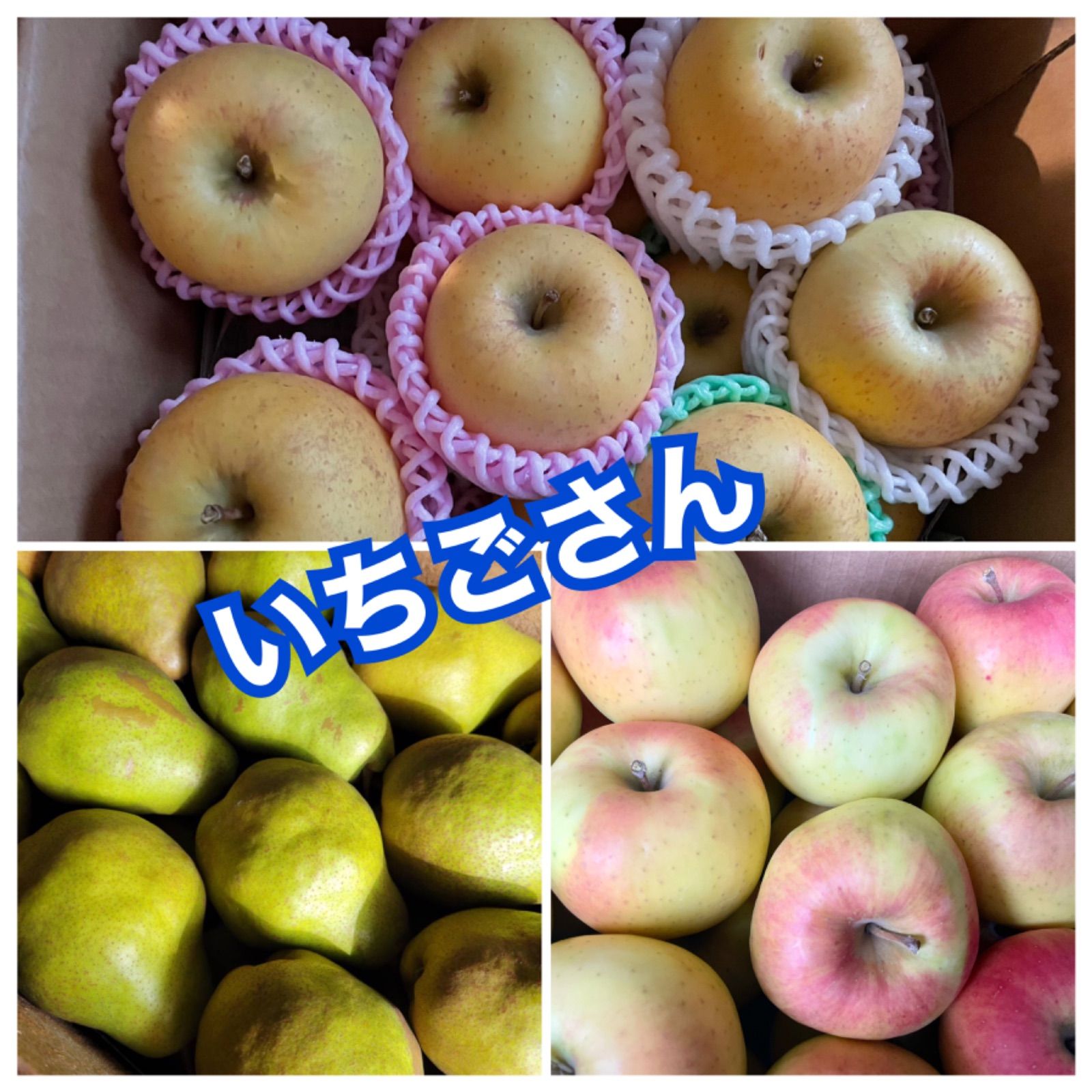 いちごさん専用 いちご様 いちごさん専用 いちご様へ いちごページ 椿