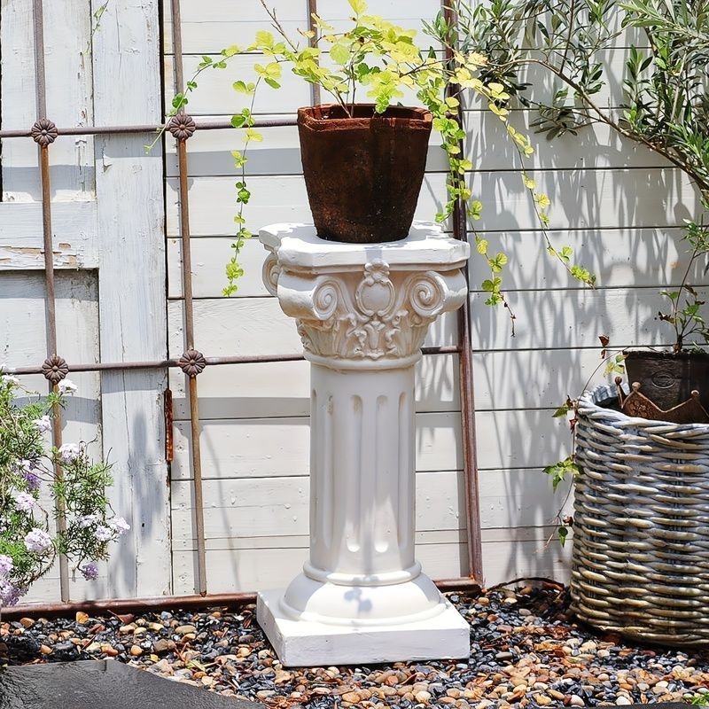 アガベ　トランカータ　５号鉢つき　ハンティントン丸葉タイプ❗　② アガベ トランカータ 5号 アガベ トランカータ 5号鉢つき