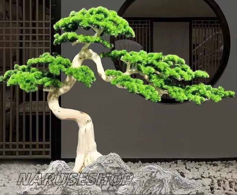 水やり不要