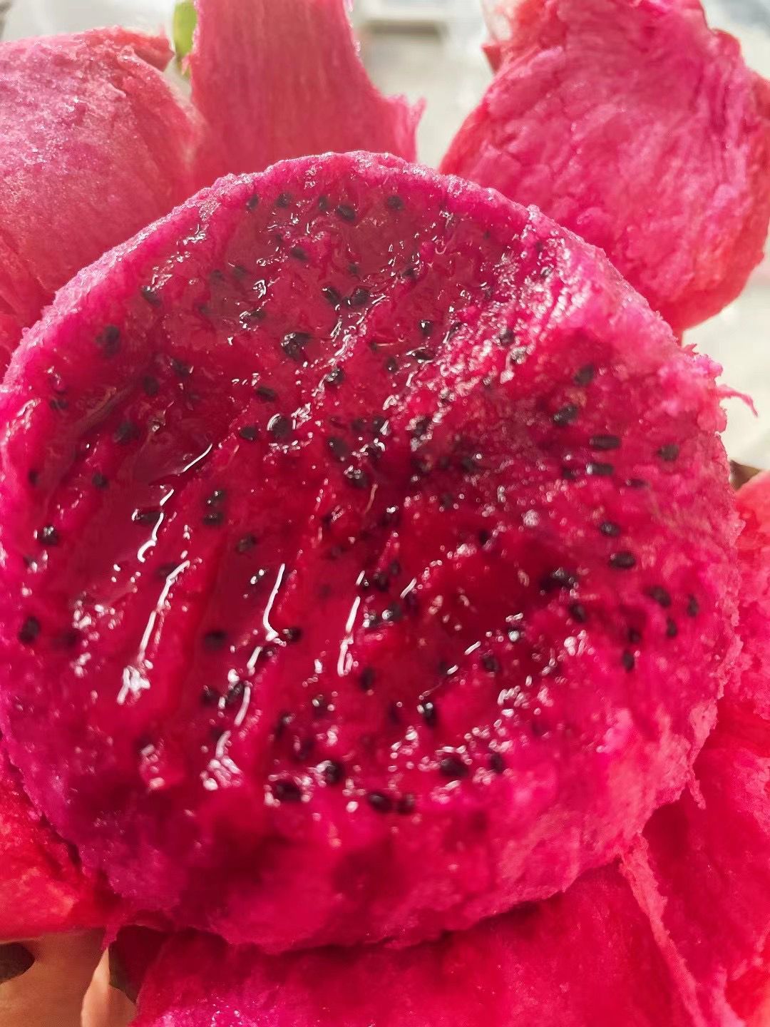 ドラゴンフルーツ（レッド） 20玉Set /1箱 紅心 火龍果 thanh long 火龙果