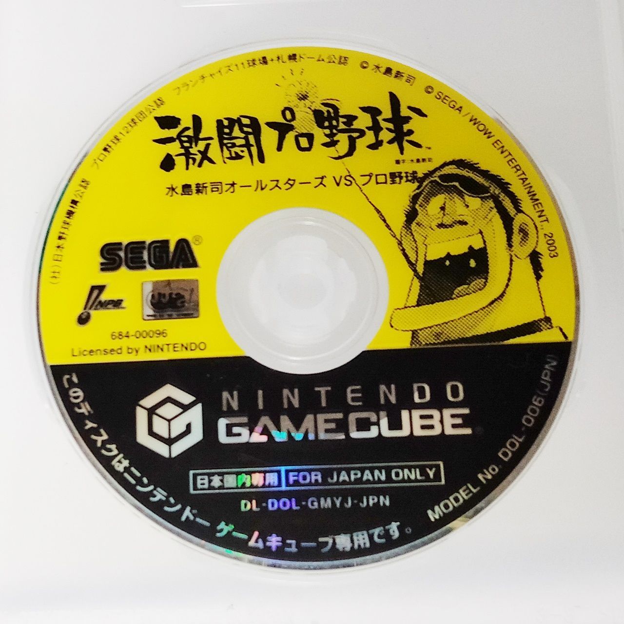 NINTENDO GAMECUBE ゲームソフト 「激闘プロ野球 水島新司オールスターズVSプロ野球」 ニンテンドー ゲームキューブ 任天堂