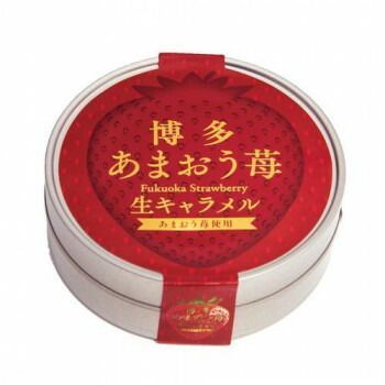 のんのん様専用 おやつ便 シフォンケーキサンド チーズケーキ テリーヌ