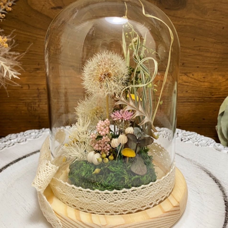 たんぽぽ綿毛ドライフラワー ガラスドーム ボトルフラワー 綿毛ドライフラワー✨ たんぽぽ綿毛ドライフラワー ガラスドーム ボトルフラワー 綿毛ドライ