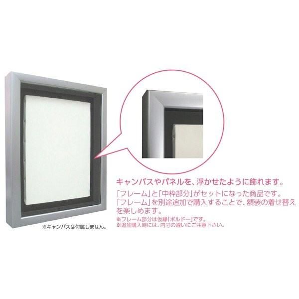 額縁 S3 オール50 チタン 安田精工 アート 油絵 アクリル画 仮縁