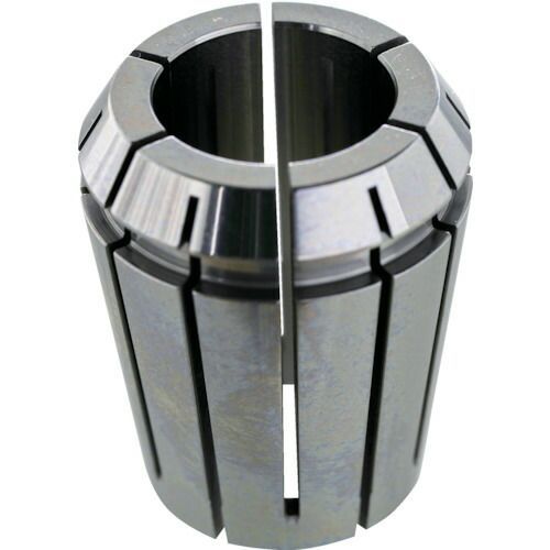 ベ*ト様 フェニックス・ロベレニー 2本立ち 葉先80cm 希少株