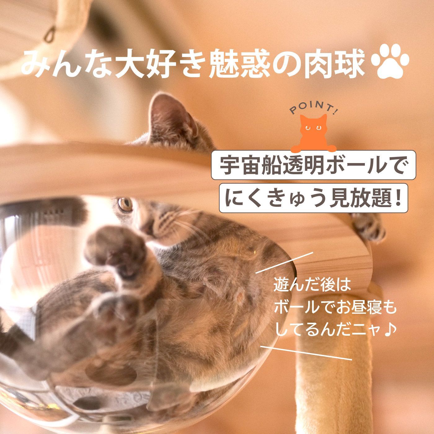 猫タワー