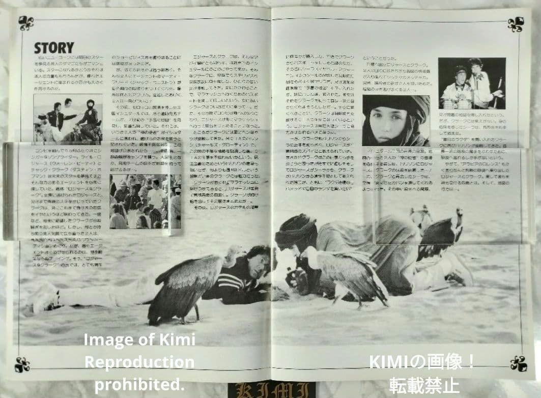 映画 パンフレット