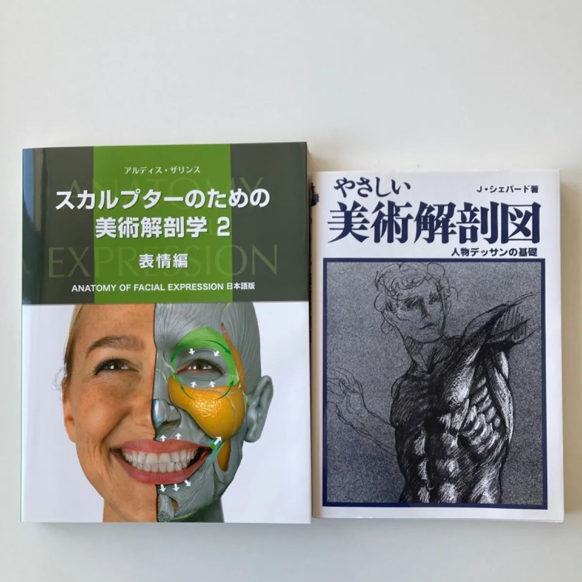 美品】スカルプターのための美術解剖学 2 ・やさしい美術解剖図
