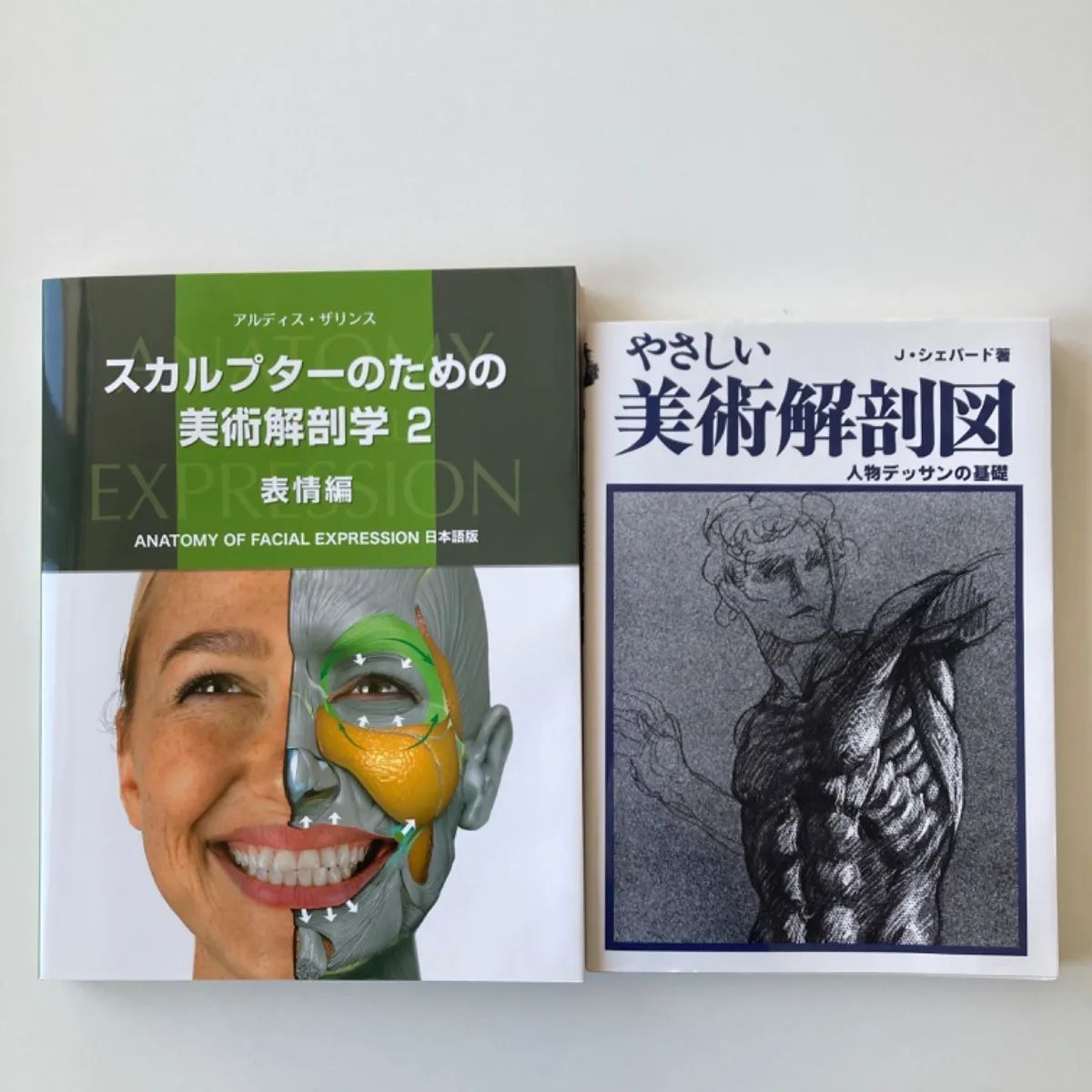 美品】スカルプターのための美術解剖学 2 ・やさしい美術解剖図☆2冊セット☆ ✳️GW中お値下げ中！（5/6まで）6.499円→5.999円✳️ -  メルカリ