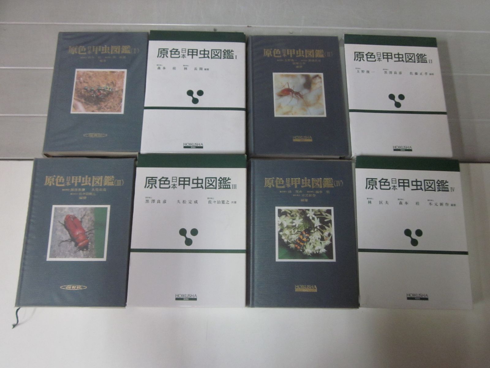 原色日本甲虫図鑑〈1〉 保育社 原色日本甲虫図鑑〈1〉 (保育社の原色図鑑 68) | 森本 桂, 林