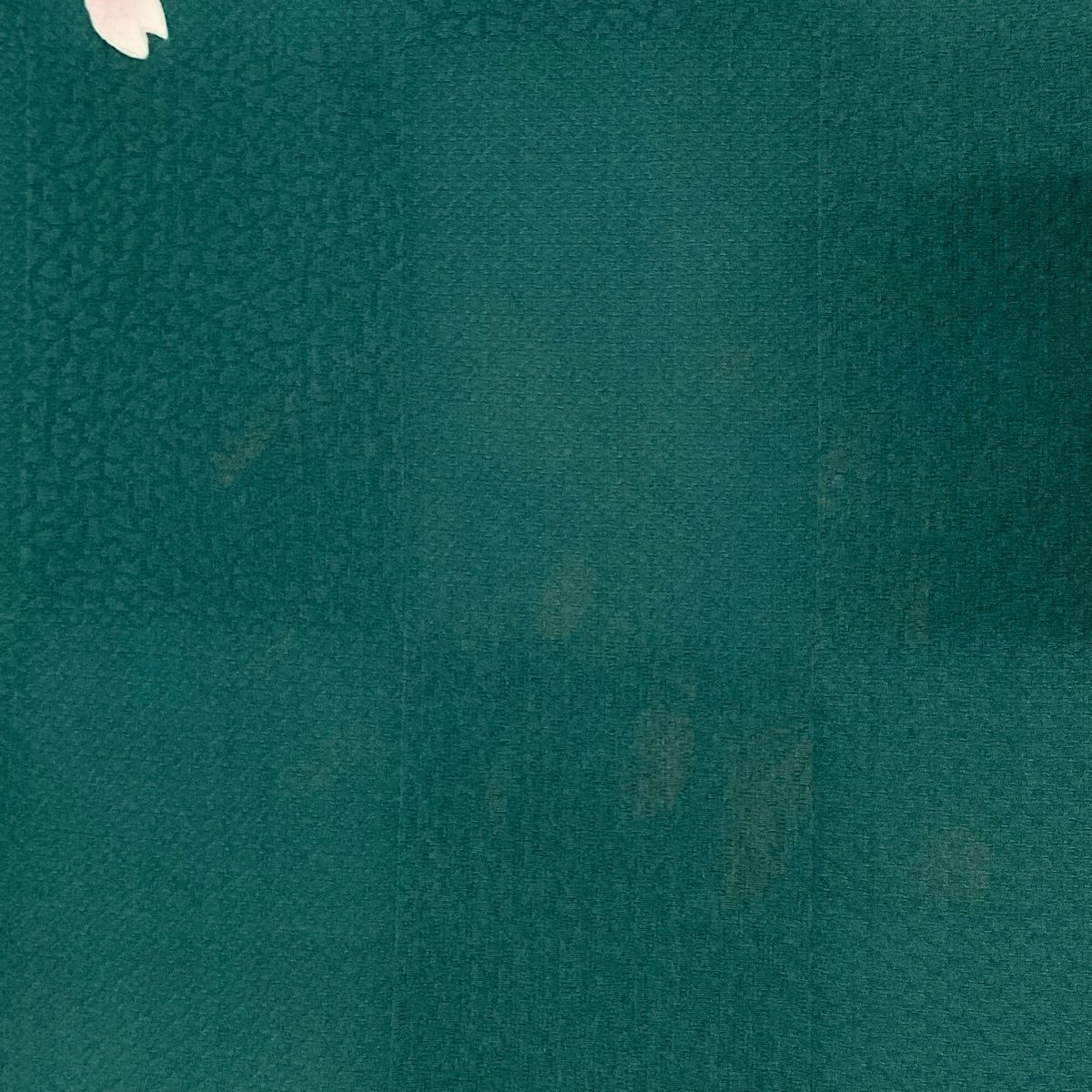 裄丈66.5cm