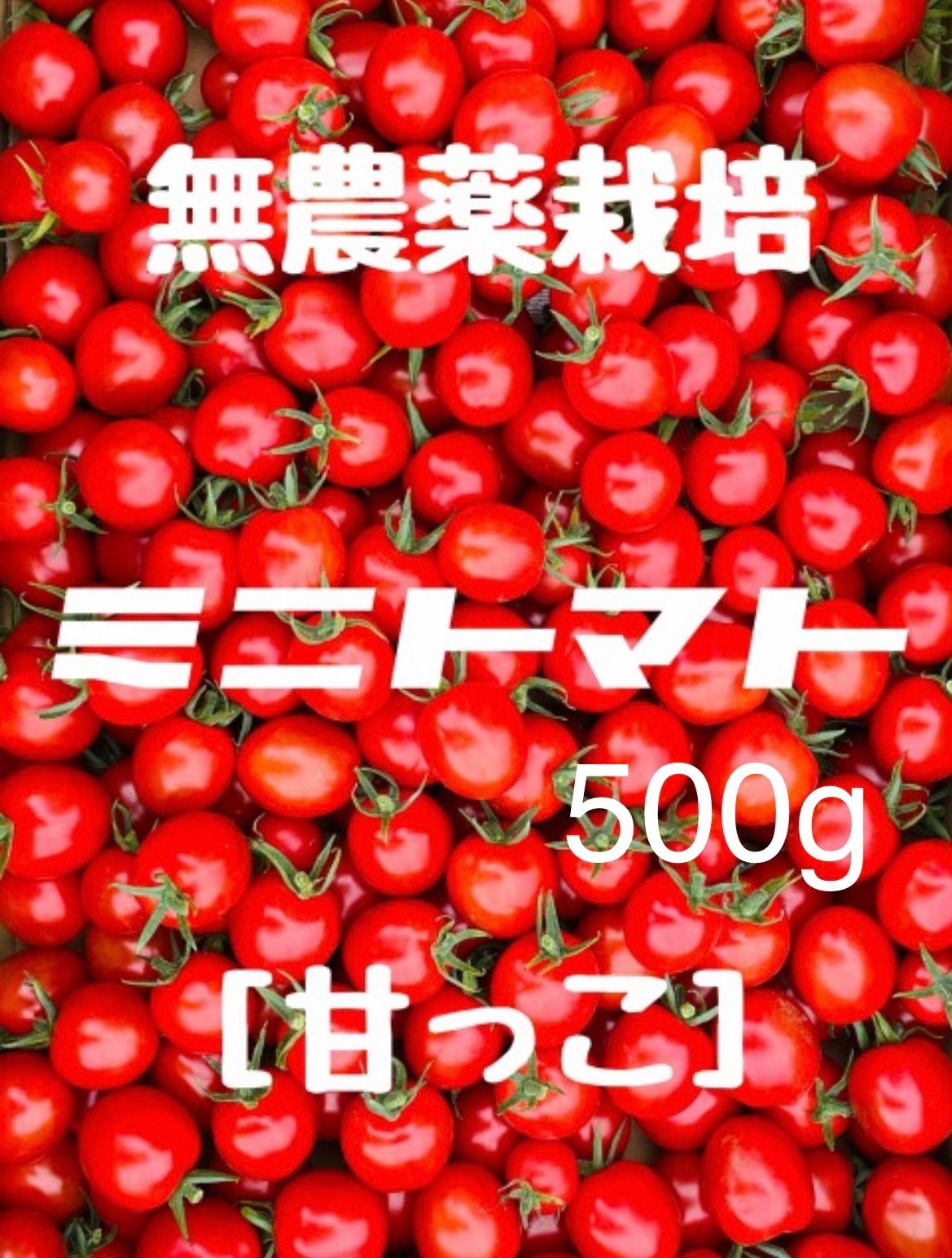 茨城県産 ミニトマト(無農薬) 甘っこ 500g - メルカリ