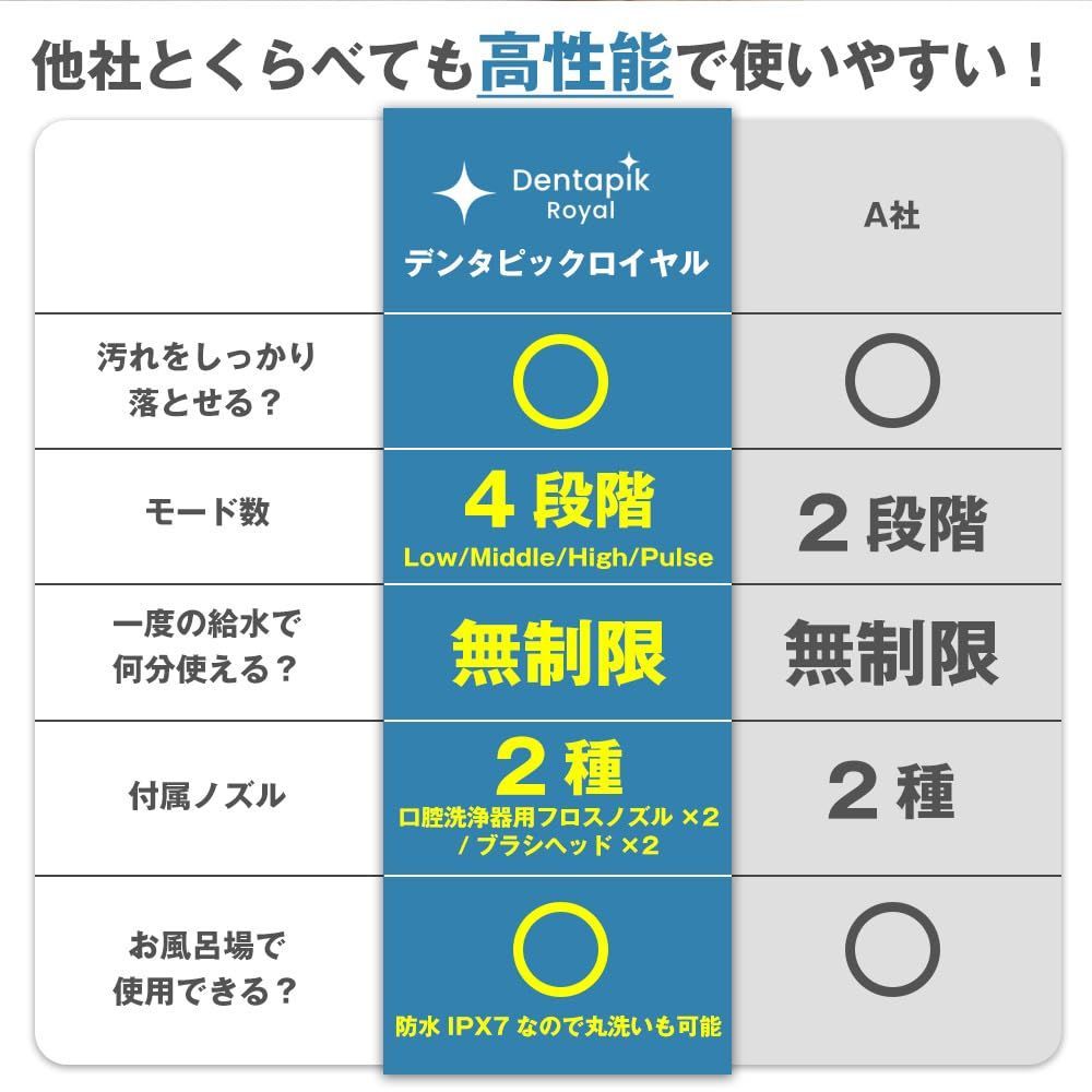 本体