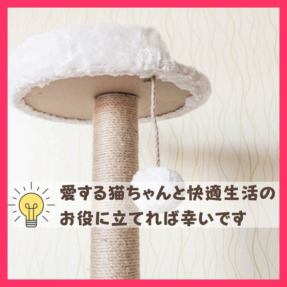 人気 20250424-2606