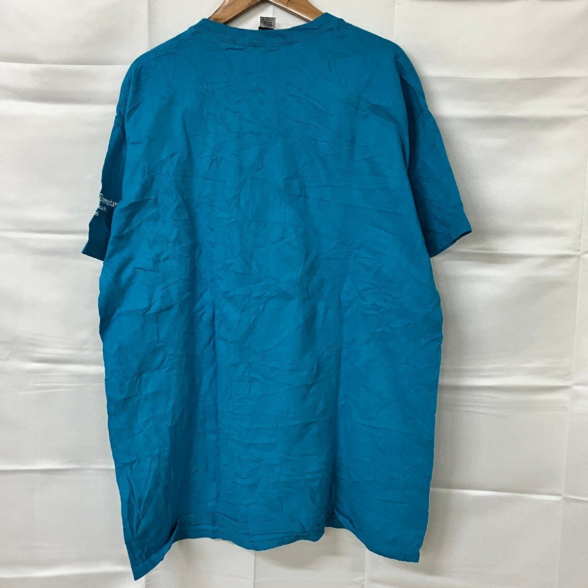 ギルダン　tシャツ チーム　ロゴ　プリント　アメリカ古着　L 1391 ギルダン tシャツ チーム ロゴ プリント アメリカ古着 L 1391