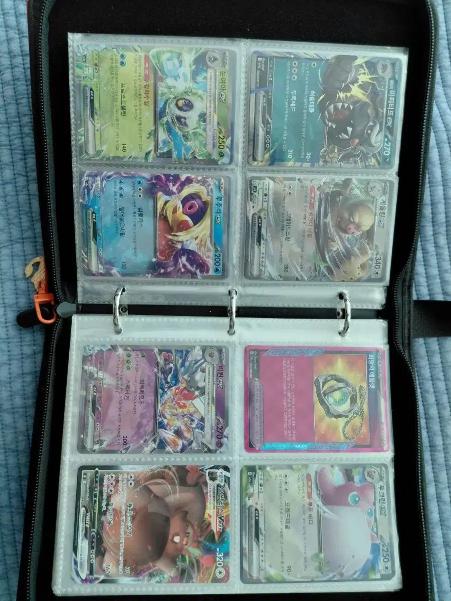 リザードン 背中