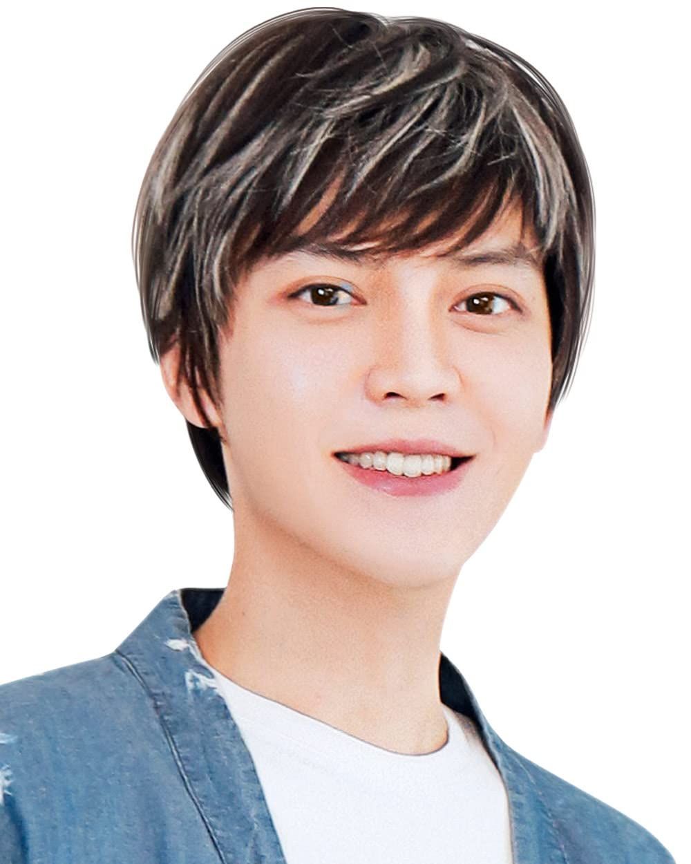 Color:ブラック/白メッシュ [TefuRe] メンズウィッグ ショート 自然 メンズ ウィッグ かつら 短髪 男子 韓国 韓国アイドル風 メッシュ グラデ 男性 女性 にも ウィッグネット 付 耐熱 ナチュラル