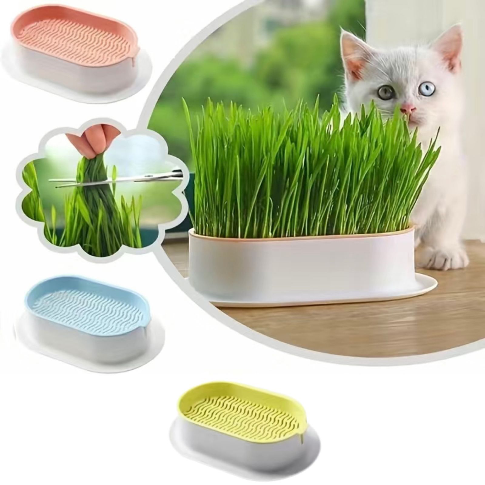 猫草 水耕栽培セット エン麦の種 50g - 悠芽工房 〜Yume Workshop〜 - メルカリ