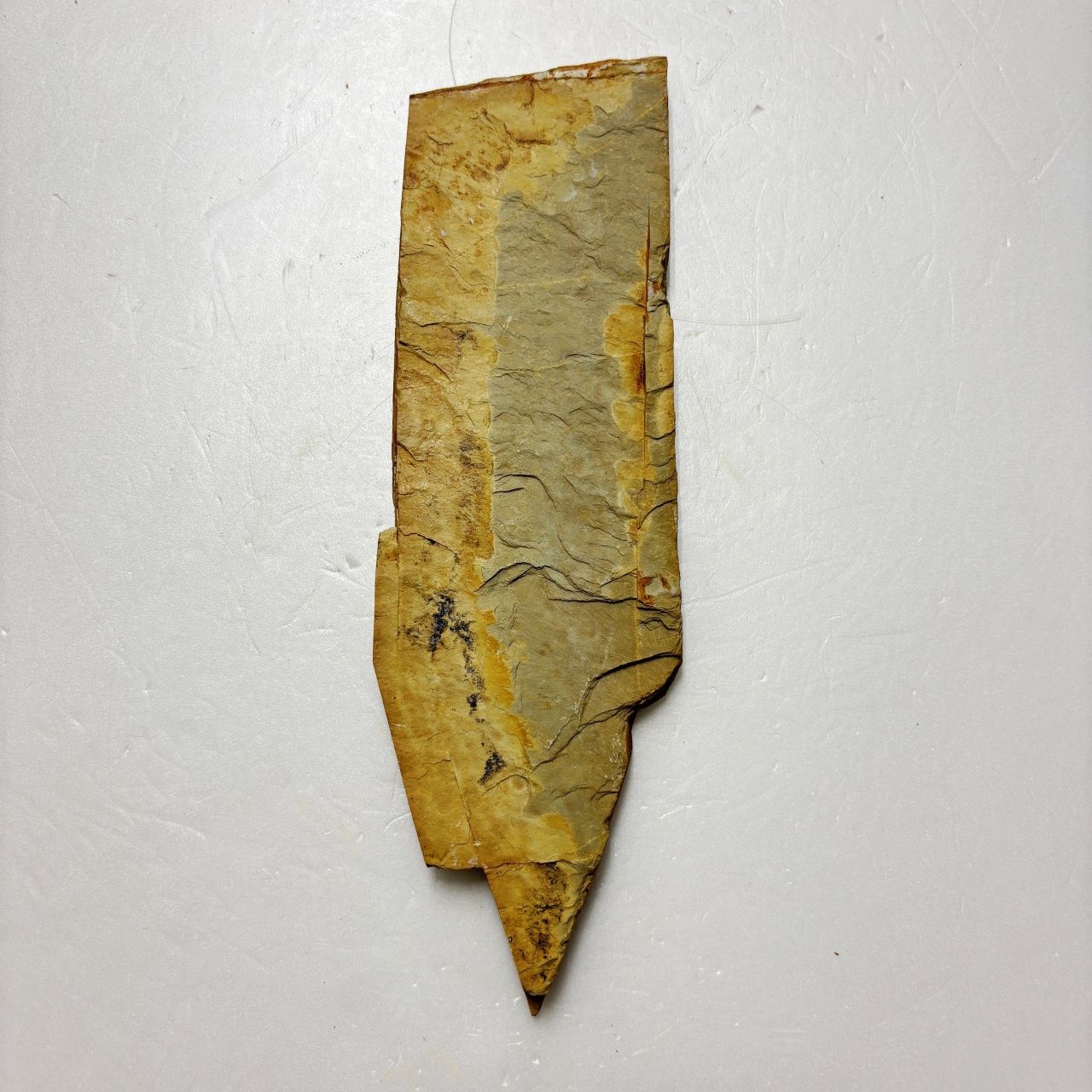 260g 巣板