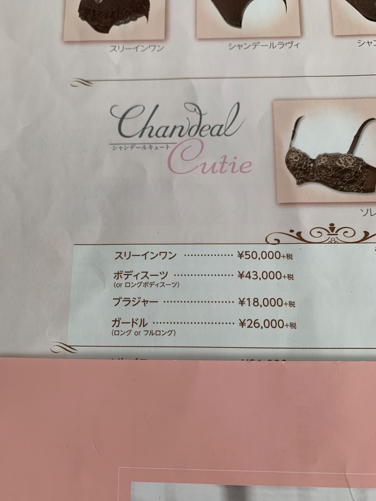 けいちゃんさん専用対応シャンデール　スリーインワンE90 １枚　ノーブルブラック スリーインワン | 補整下着メーカー 株式会社シャンデール