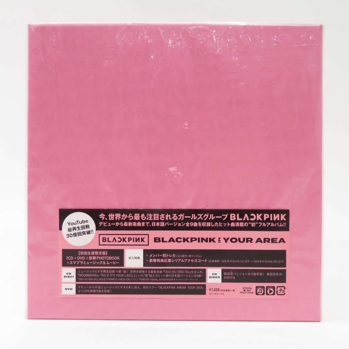 2CD+DVD+PHOTOBOOK BLACKPINK / BLACKPINK IN YOUR AREA 初回限定盤 ※中古