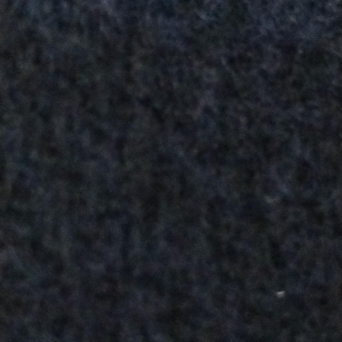 DANTON(ダントン) コート サイズ40 M メンズ - ネイビー 長袖/秋