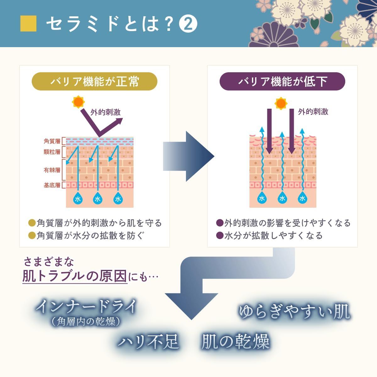 安い つむぎ ヒト 型 セラミド 化粧 水