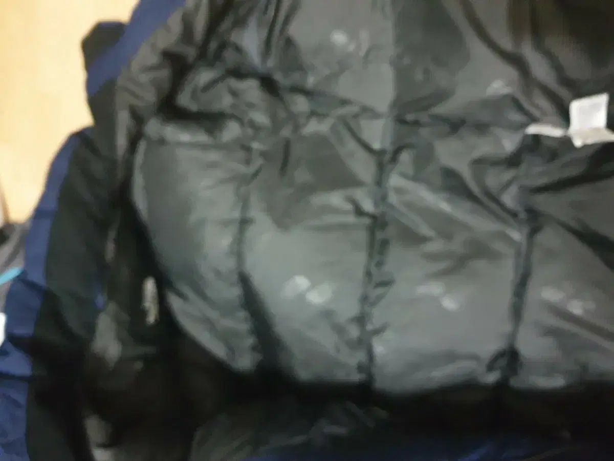 ユニセックス THE NORTH FACE ザノースフェイス ガチョウファー ダウン 85 キー 160程度 タグは155 165