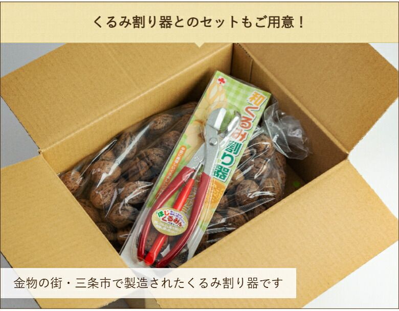 魚沼産 鬼クルミ（殻付）10kg 鬼くるみ