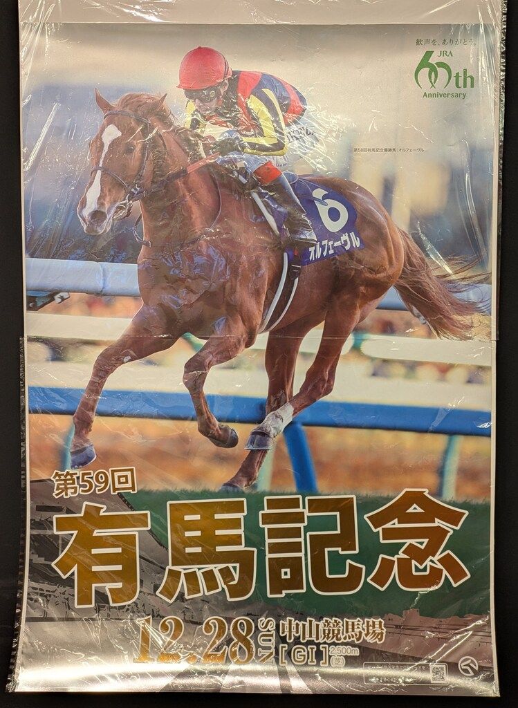 JRA 第59回 有馬記念 オルフェーヴル